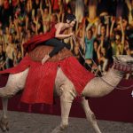 camelRace0